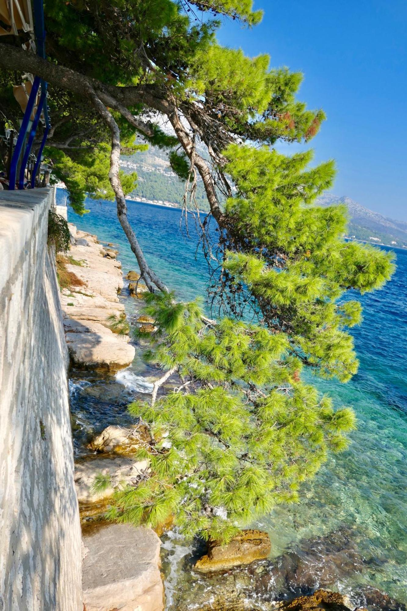 Apartments Mt Residence Zavalatica Εξωτερικό φωτογραφία
