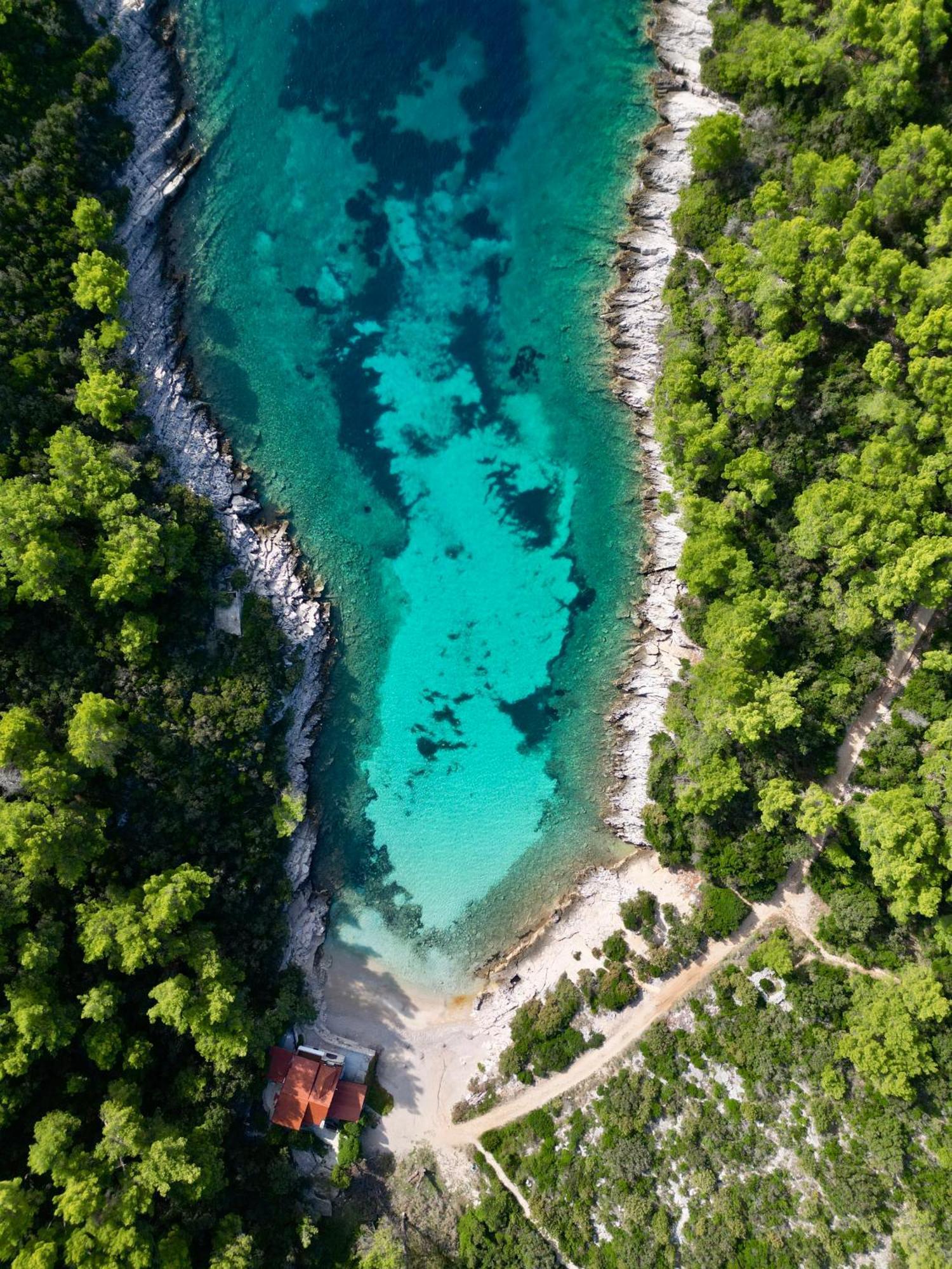 Apartments Mt Residence Zavalatica Εξωτερικό φωτογραφία