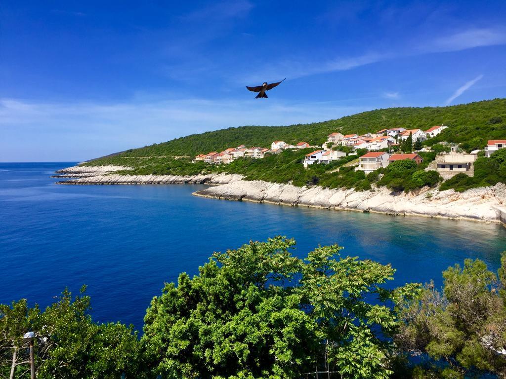 Apartments Mt Residence Zavalatica Εξωτερικό φωτογραφία